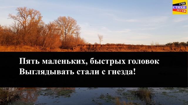 А.Н. Майков " Ласточки " | Учи стихи легко | Караоке | Аудио Стихи Слушать Онлайн смотреть онлайн