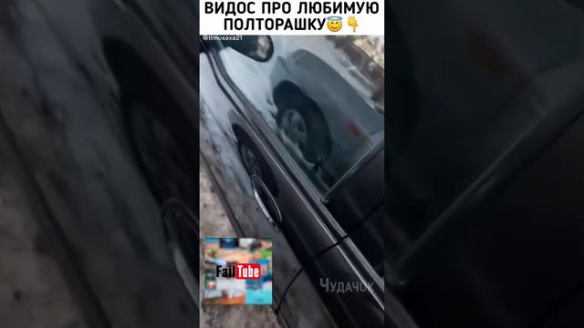 Приколы для взрослых Лучшие приколы 2024 Час Приколов Смех Юмор #приколы #смех #юмор смотреть онлайн