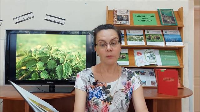 "Зеленые лекари" О лекарственных растениях Ярославской области смотреть онлайн