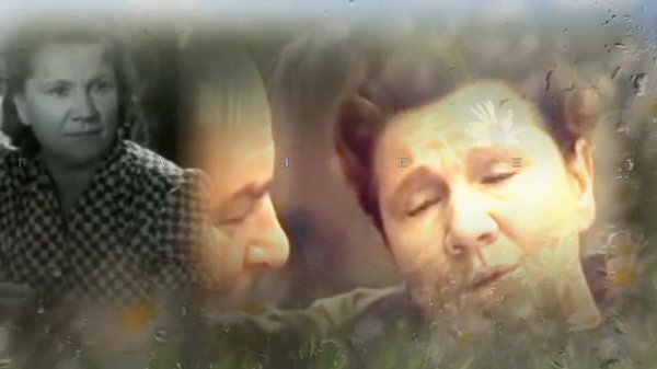 РОМАШКИ СПРЯТАЛИСЬ