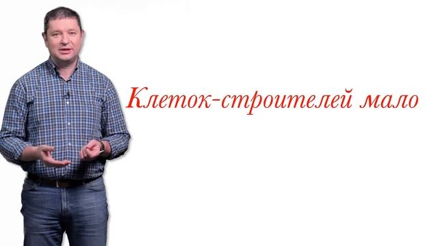 Остеопороз: как избежать переломов // Доктор Ху смотреть онлайн