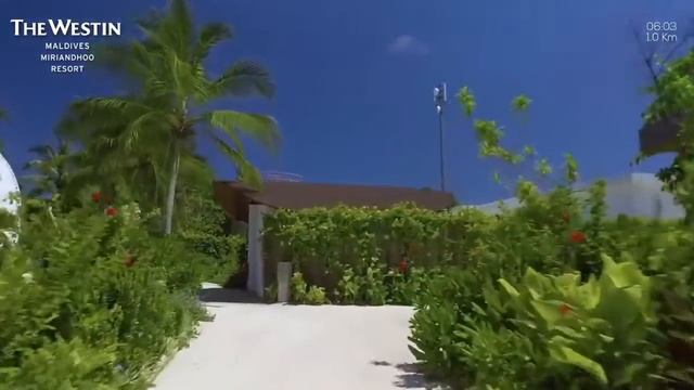 Отель The Westin Maldives Miriandhoo Resort 5* - Мальдивы, Баа Атолл