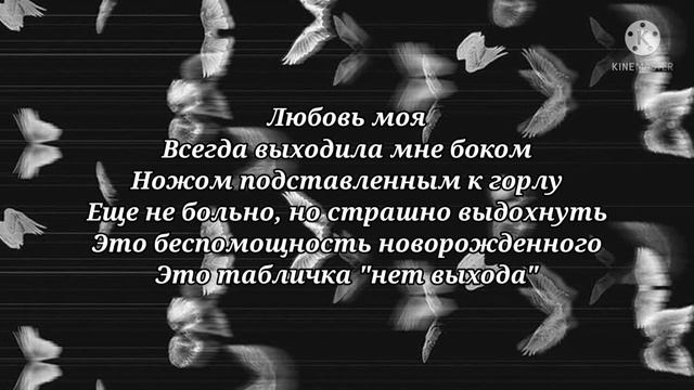 Элли на маковом поле - любовь моя смотреть онлайн