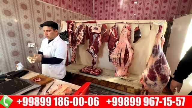 1  TONNA  300KG  ГИГАНТ  БУКА  СУЙИЛАДИ    ГУЛОМ КАССОБ