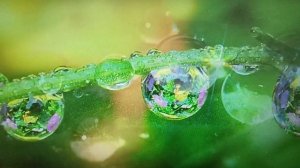 3 класс #Великие русские писатели.Л.Н.Толстой.Какая бывает роса на траве.