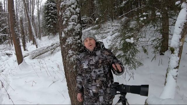 Пришёл кабан! Что делать? смотреть онлайн