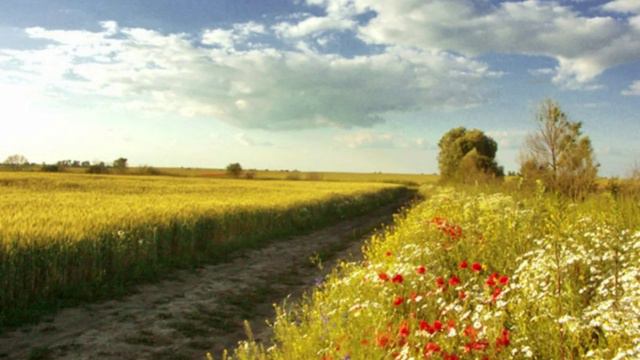 Август, что приготовил нам_(как я вижу этот мир)