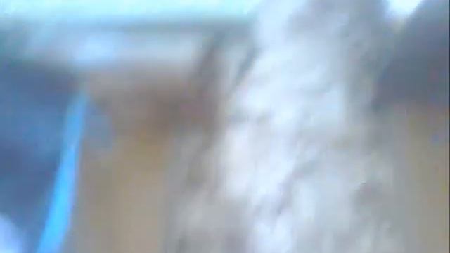 +500900 Видео Весна в +500900 смотреть онлайн