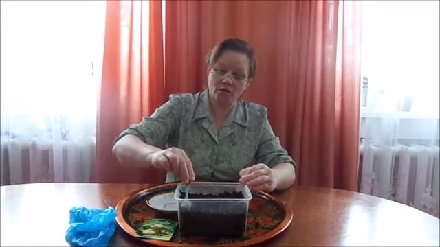 Пепино Экзотика для наших огородов смотреть онлайн