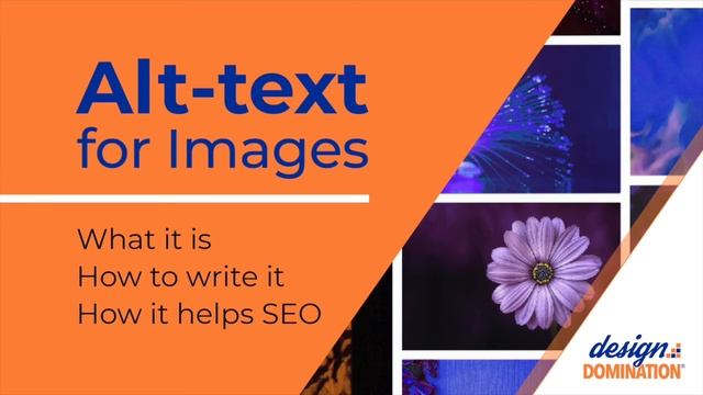 Alt text for Images: What it is, how to write it, how to add it смотреть онлайн