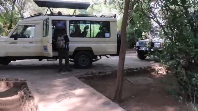 DAYS 5-9, Safari! Samburu, Aberdare, Lake Nakuru Natl Parks - Kenya смотреть онлайн