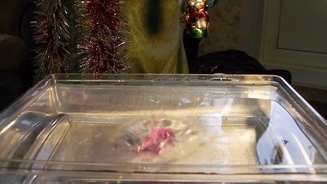 720p HD Slow Motion Nikon Coolpix P100 смотреть онлайн