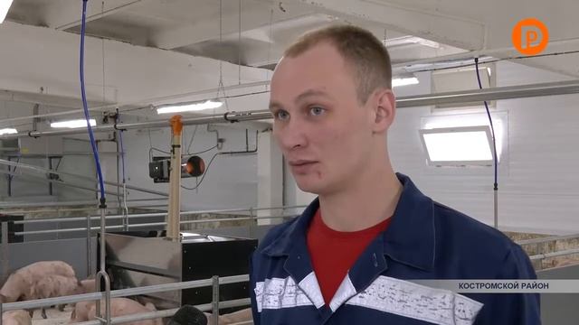 Крупнейший животноводческий комплекс Костромской области сделал новый шаг в развитии смотреть онлайн
