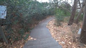 Пляж санатория МЕТАЛЛУРГ в Сочи/Вкусные чебуреки/Море