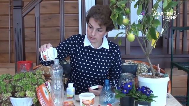 Как опрыскивать растения Биоприлипатель Липосам смотреть онлайн