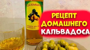 Кальвадос из концентрированного грушевого сока на модернизированной колонне Люксталь 7