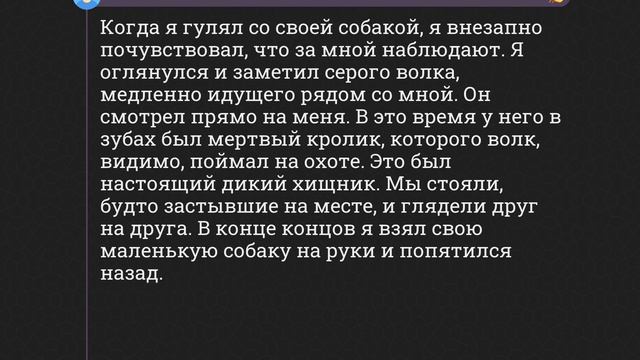 Какую странность ты видел, но тебе никто не поверил? #апвоут #reddit смотреть онлайн