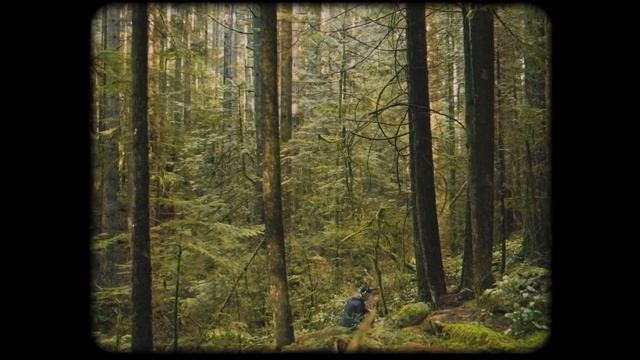 Modern Biology - Mushroom Dance