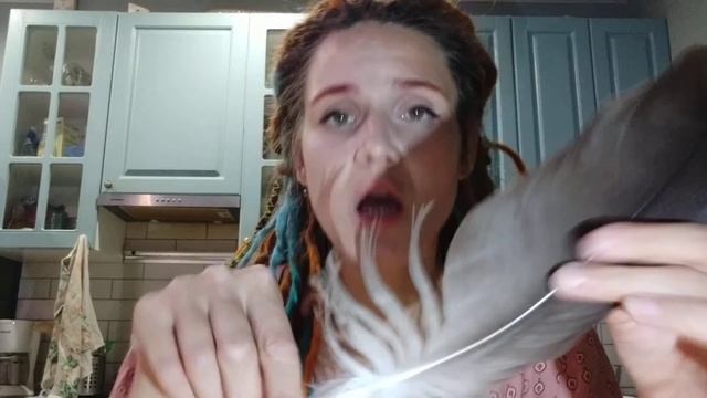 Почему нельзя гладить птиц? смотреть онлайн