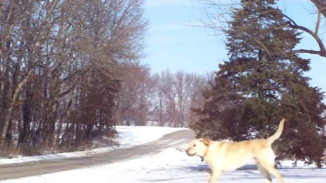 Screaming 2001 CR250