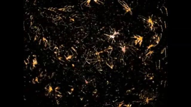 Testing Cuebase/ Digitech RP355 Pink Floyd Jam смотреть онлайн