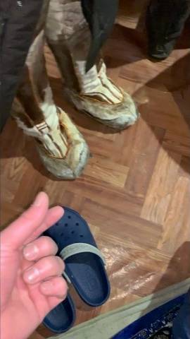 Самая теплая обувь для северных оленеводов смотреть онлайн