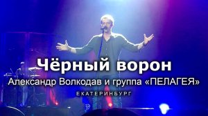 «Чёрный ворон» Александр Волкодав и группа «ПЕЛАГЕЯ» - Екатеринбург 15.04.22