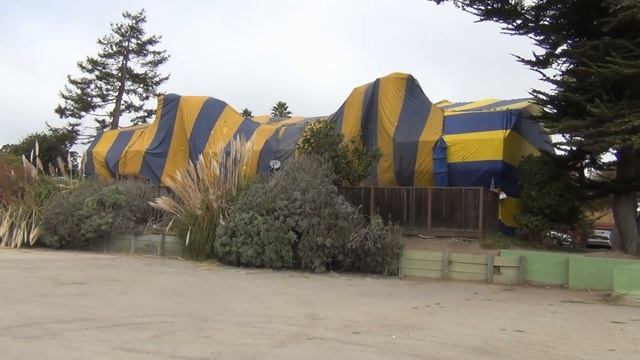 США 736: Как в Америке травят газом термитов - репортаж с места событий смотреть онлайн