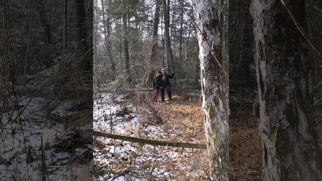 Большехехцирский заповедник. По следам тигра смотреть онлайн