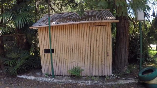 ГАГРА. ИЗУЧАЕМ ПАРК ОЛЬДЕНБУРГСКОГО смотреть онлайн