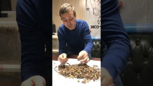 Натуральный янтарь в органические удобрения