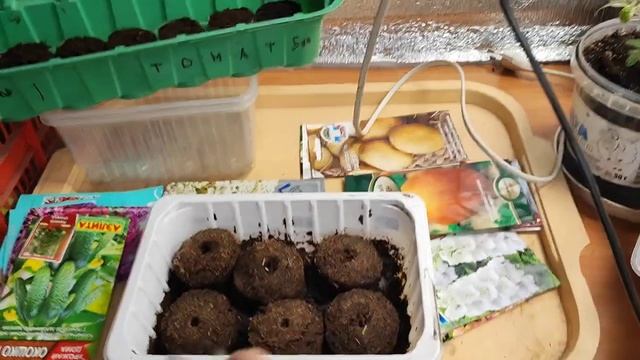 Посевной сезон 2023г/Посев/Пикировка#влог#сибирь#дача#огород#рассада#садоводство#семена#цветы смотреть онлайн