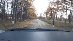 ЗАСНЕЖЕННАЯ ОСЕНЬ КОЛЫМЫ. ПОСЕЛОК УПТАР.МАГАДАНСКАЯ ОБЛАСТЬ.