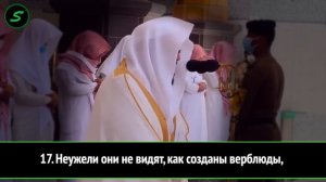 ИМАМ из САУДИИ красиво ЧИТАЕТ КОРАН - Абдуррахман ас-Судайс