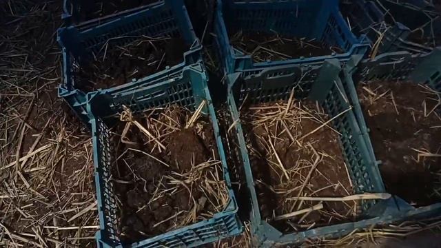 30 марта 2022 г. смотреть онлайн