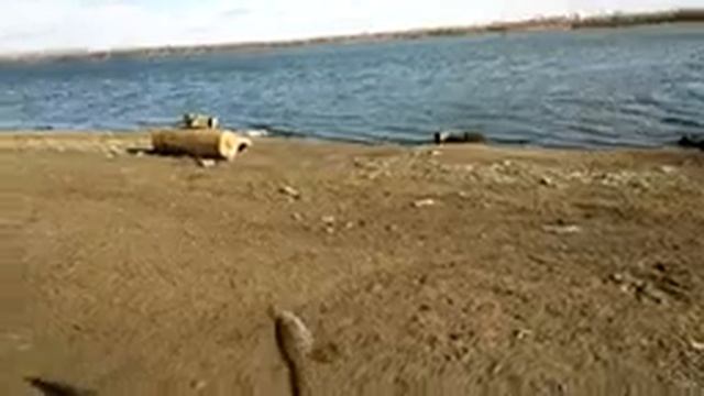 Обьгэс Рыбные места.Ловится налим. смотреть онлайн