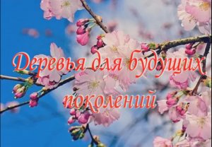 Притча «Деревья для будущих поколений».