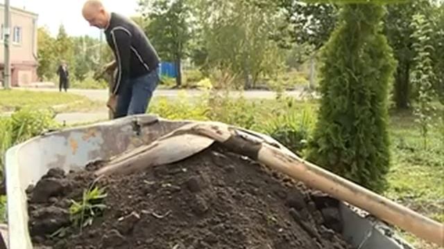 Посадка растений осенью смотреть онлайн