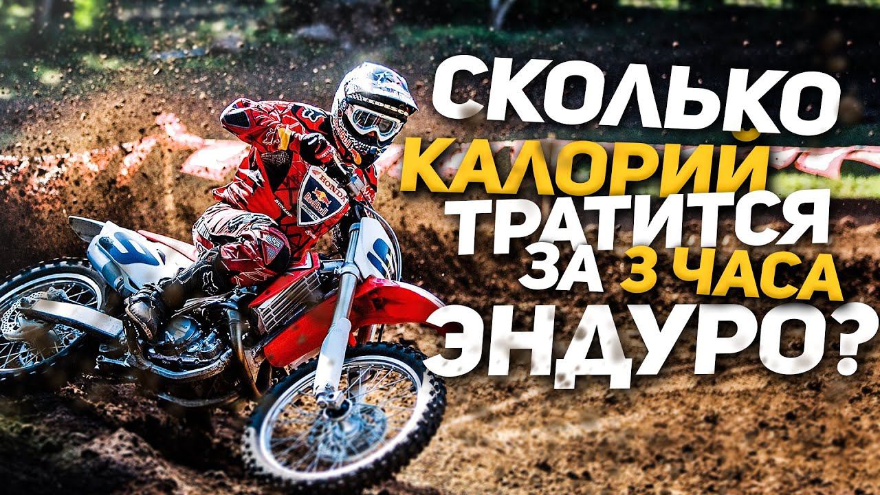 3 Часа Эндуро VS Забег на 12 км = где больше потратиться калорий? смотреть онлайн