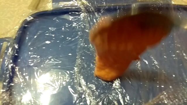 Пластилин из красной икры на ленка и хариуса смотреть онлайн