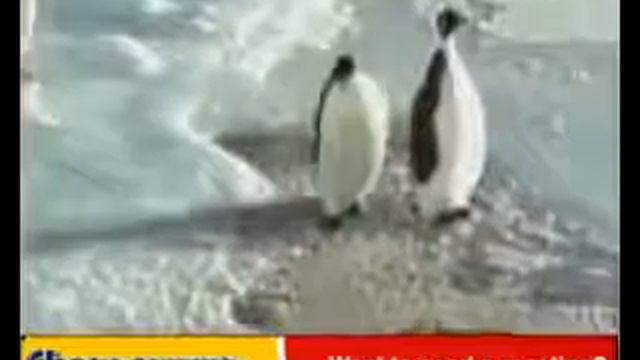 y2mate com видео 5 секунд,а смеха 55 минут 360p смотреть онлайн