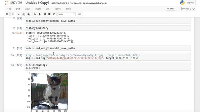cat and dog detection convolution | jupyter notebook смотреть онлайн