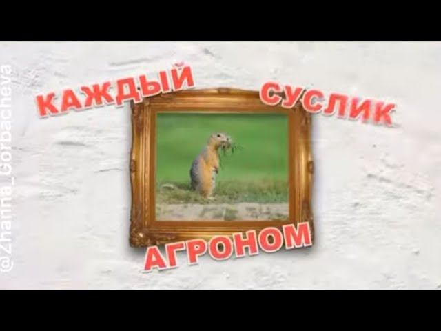 "СОВЕТНИК" СМЕЕТСЯ НАД КОНСТИТУЦИЕЙ МО Северное Тушино... смотреть онлайн