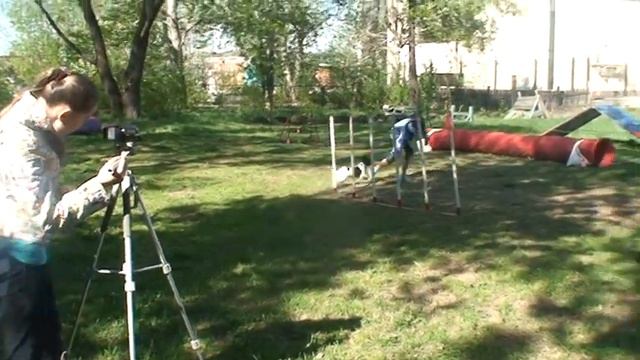 2014 05 18 Арина и папийон Эшли смотреть онлайн