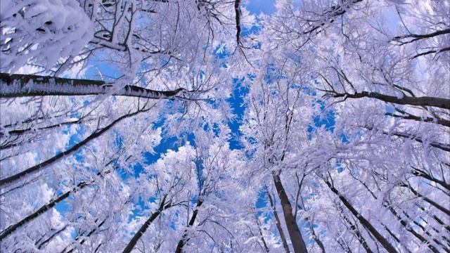 Слезы весны - Андрей Хажиев (Авторская песня) смотреть онлайн