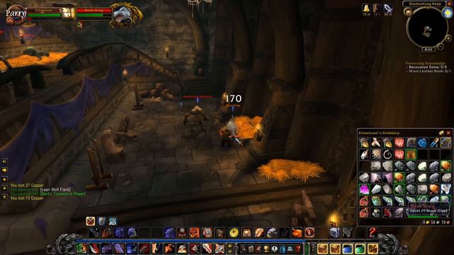 The Opposite Of The Southeastern Western Kingdoms | WoW Classic BLIND #203 смотреть онлайн
