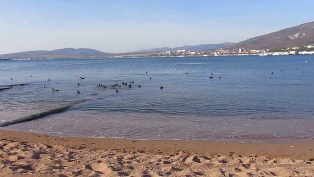 Геленджик, 8 ноября 2016 года, пляж смотреть онлайн