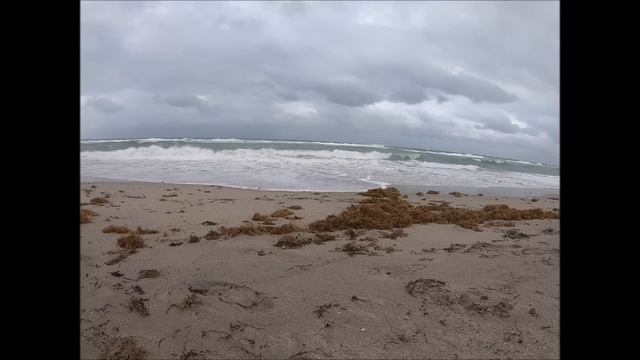 МЕНЯ ЛОМАЛИ В ФИНЛЯНДИИ ! КУДА УЕХАТЬ ! Жертвоприношение ,,КУРСК ,, ! \ Америка Майами Флорида смотреть онлайн