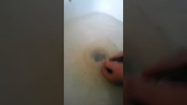 Купаем Джунгариков смотреть онлайн
