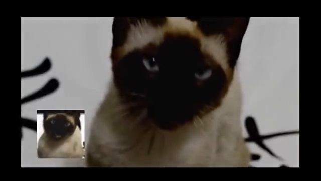 Game of Thrones theme, remix by unknown cat. Игра тронов (муз. тема) ремикс смотреть онлайн